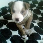 Mandarin Garden Chinese Restaurant